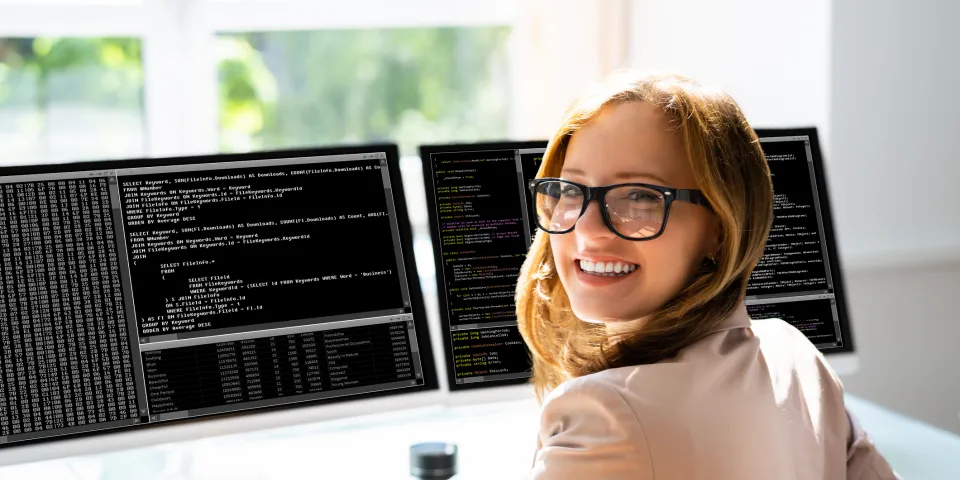 IT Professional.jpg